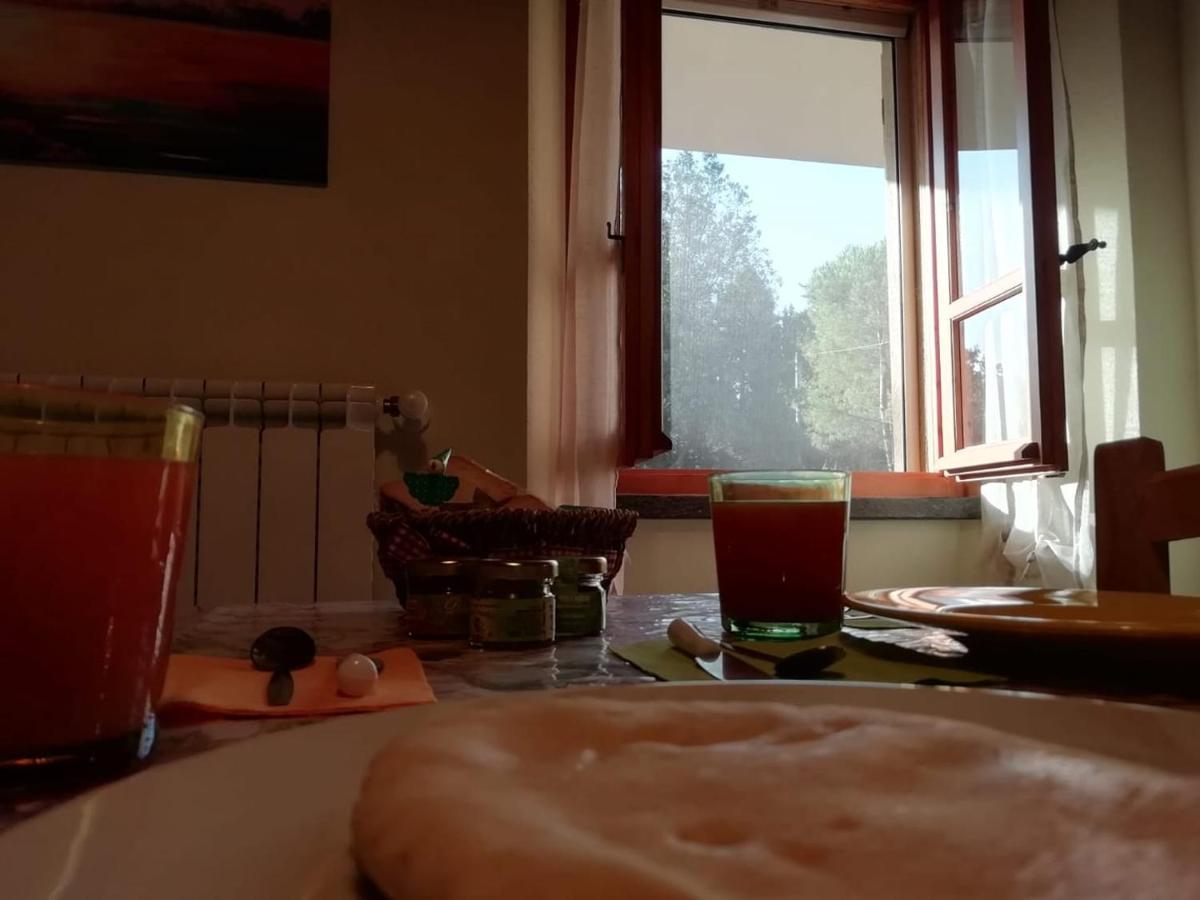 Su Pitiolu - Casa Vacanze Làconi 外观 照片